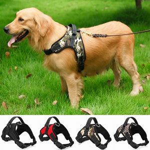 Heavy Duty Padded Dog Harness with Adjustable Collar in Four Sizes and Quick Release